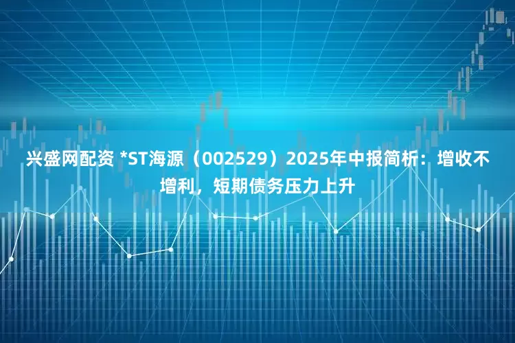 兴盛网配资 *ST海源（002529）2025年中报简析：增收不增利，短期债务压力上升